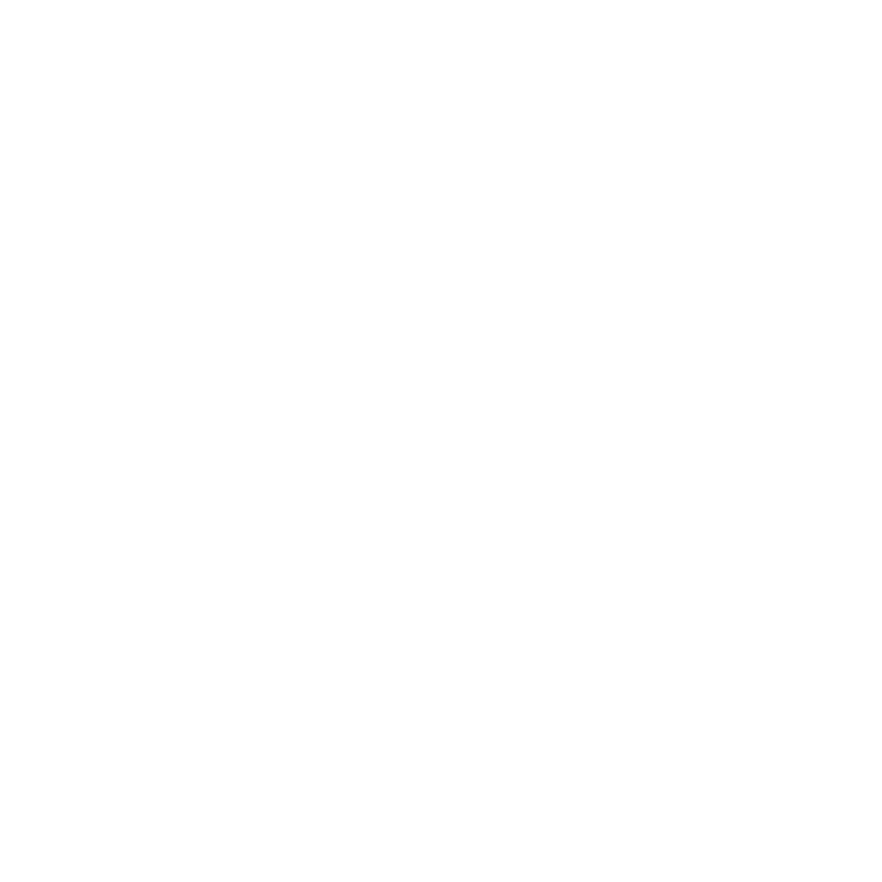Haidy